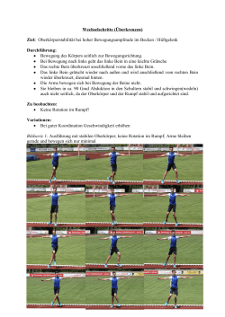 PDF zum