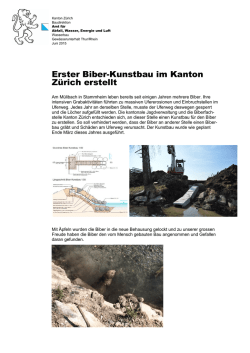 Erster Biber-Kunstbau im Kanton Zürich erstellt
