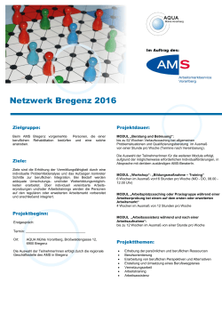 Netzwerk Bregenz 2016