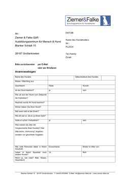 diesen Fragebogen