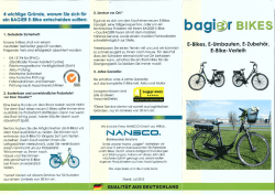 diesem Flyer