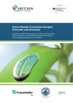Gretchen: Gr&uuml;ner Wandel: Erneuerbare Energien, Policy mix und