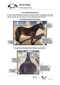 Horse Shop - Sattel Shop in Hermeskeil