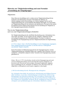 Hinweise zur T&auml;tigkeitsdarstellung und zum Formular Feststellung