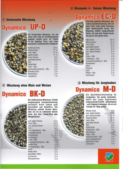 Kampol Katalog Dynamico