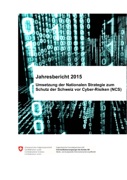 Jahresbericht 2015 Umsetzung der Nationalen Strategie zum