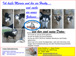 Ich hei&szlig;e Marvin und bin ein Husky&hellip; und suche ein neues Zuhause
