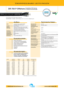 DR 750 P Offshore - Innovations Report