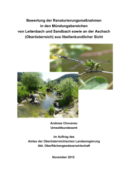 Libellen Leitenbach, Sandbach, Aschach 2015