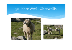 Geschichte WAS Oberwallis  - Oberwalliser WAS