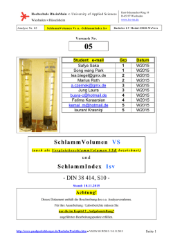 SchlammVolumen VS SchlammIndex Isv - DIN