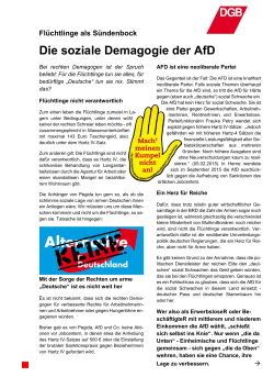 DGB-Flugblatt AfD Sozialer Wohnungsbau - Hohenlohe
