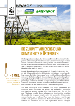 Energiezukunft Österreich, Factsheet