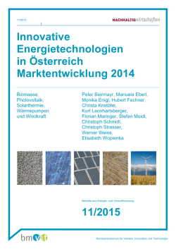Innovative Energietechnologien in &Ouml;sterreich Marktentwicklung