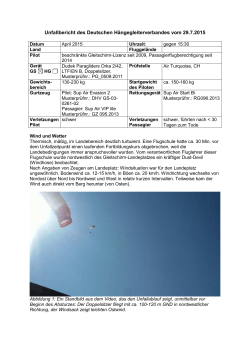 Unfallbericht PDF-Download
