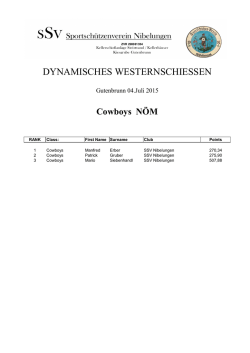dynamisches westernschiessen
