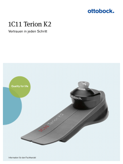 1C11 Terion K2