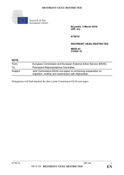 Joint Commission-EEAS non-paper on enhancing