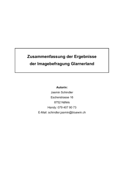 150731_Zusammenfassung_SchindlerJasmin [PDF