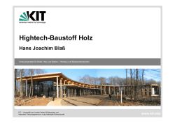 Hightech-Baustoff Holz - vpi-bw