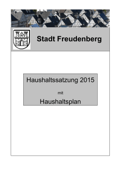 Haushalt - Stadt Freudenberg