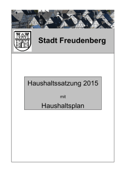 Haushalt - Stadt Freudenberg
