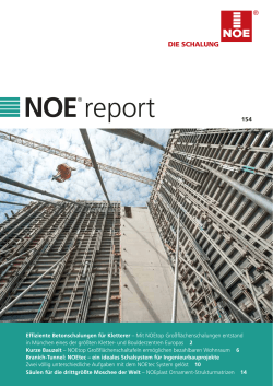 NOE report - NOE