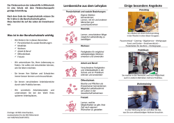 Flyer „Berufsschulstufe – Brücke zum Lebenen als Erwachsener“