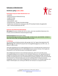 Richtlinien-2016 - Sozialplattform.at