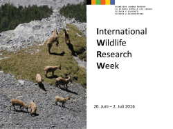 IWRW 2016