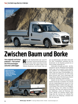 Fiat Dobl&ograve; Cargo Work Up 1.6 Multijet - Mot-Bau