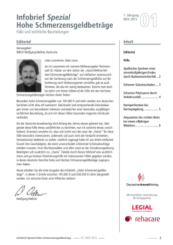 Infobrief Spezial Hohe Schmerzensgeldbetr&auml;ge