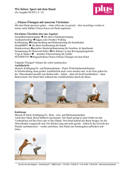 Wir lieben: Sport mit dem Hund Fitness-Übungen
