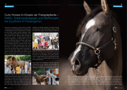 Curly Horses im Einsatz als Therapiepferde – Reiten