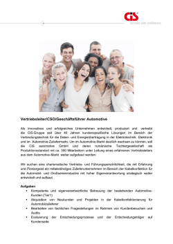 Vertriebsleiter/CSO/Geschäftsführer Automotive (m/w)
