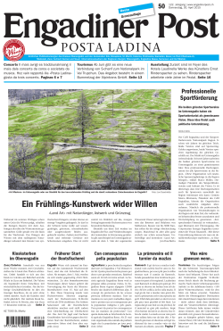 Ein Fr&uuml;hlings-Kunstwerk wider Willen