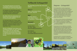 in pdf zum herunterladen - Schlaganfall Selbsthilfegruppe Rems-Murr