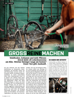 Grossreinemachen