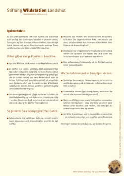 Igel - Stiftung Wildstation Landshut