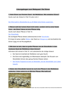 Lösungsbogen zum Webquest: Die Dünen