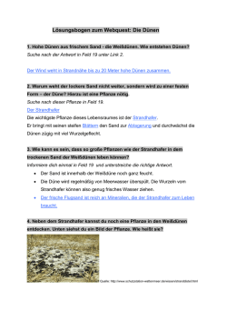 Lösungsbogen zum Webquest: Die Dünen