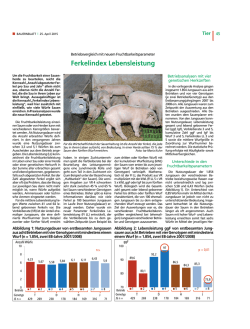 Ferkelindex Lebensleistung