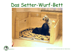 Das Setter-Wurf-Bett - Österreichischer Setter Club