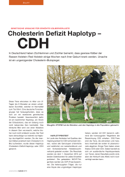 Cholesterin Defizit Haplotyp