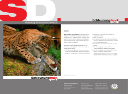 Hochaufl&ouml;sende Grafik - Schleunungdruck GmbH