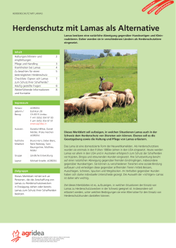 Merkblatt "Herdenschutz mit Lamas als Alternative"