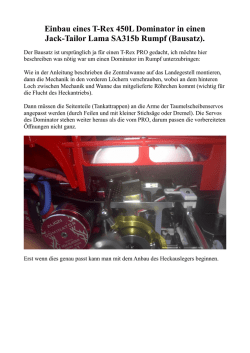 Einbau eines T-Rex 450L Dominator in einen Jack