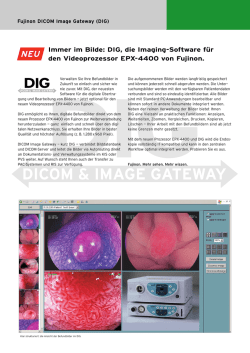 Immer im Bilde: DIG, die Imaging-Software f&uuml;r den Videoprozessor