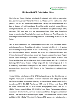 Getreide-Ganzpflanzensilage (GPS) f&uuml;r Rinder