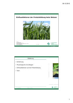 09.12.2015 1 Einflussfaktoren der Proteinbildung beim Weizen